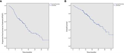 Effectiveness and safety of capecitabine, irinotecan and panitumumab in advanced colorectal cancer